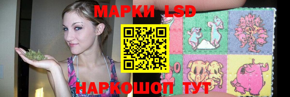 Ставрополь  Лсд 25 экстази ecstasy  Вход с VPN  ЛСД экстази ecstasy 