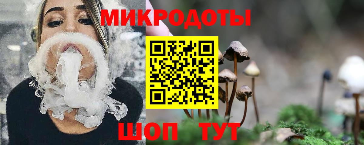 хочу наркоту  Псилоцибиновые грибы Psilocybe  Вход с VPN  Ставрополь 